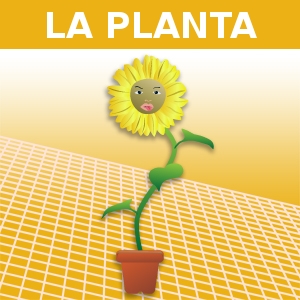 LA PLANTA