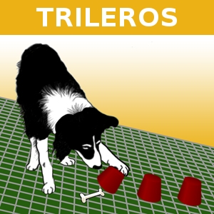 TRILEROS