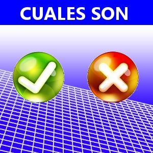 CUALES SON